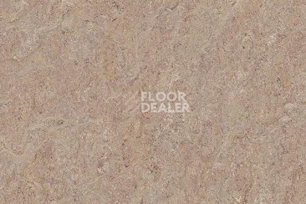Линолеум Marmoleum Marbled Terra 5804-580435 pink granite фото 1 | FLOORDEALER